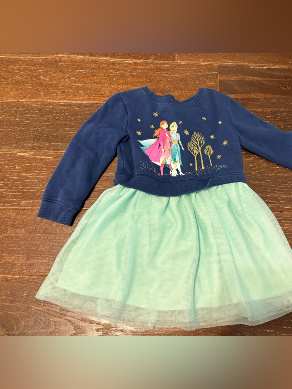 Navy & Mint Tulle Skirt Sweatshirt Dress with Princess Graphic